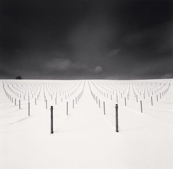 Michael Kenna, Field of Sticks, Kamikawa, Hokkaido, Japan, 2023