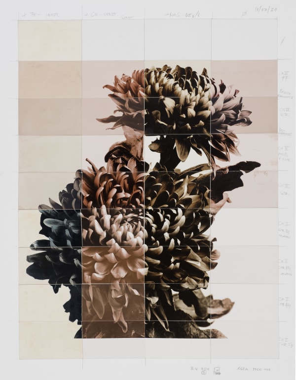 Ulrich Schmitt, Chrysanthemen-02-T-Cuprum, 2004/2018