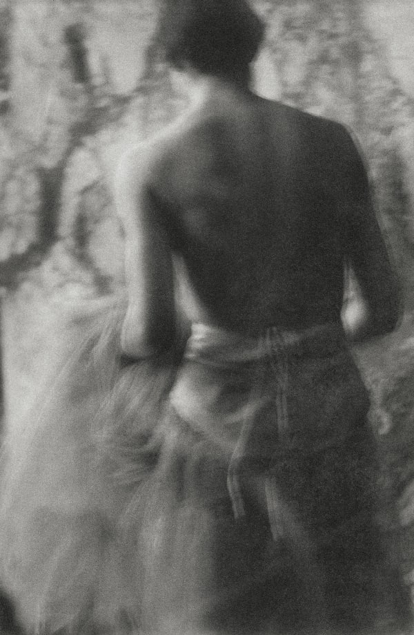 Chantal Elisabeth Ariëns, Reverie #17, 2023