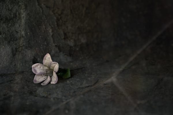 Christopher Thomas, Eternity 42, 2005