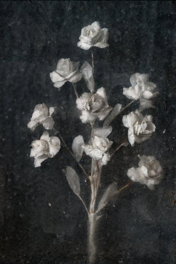 Christopher Thomas, Eternity 29, Granada, Spain, 2008