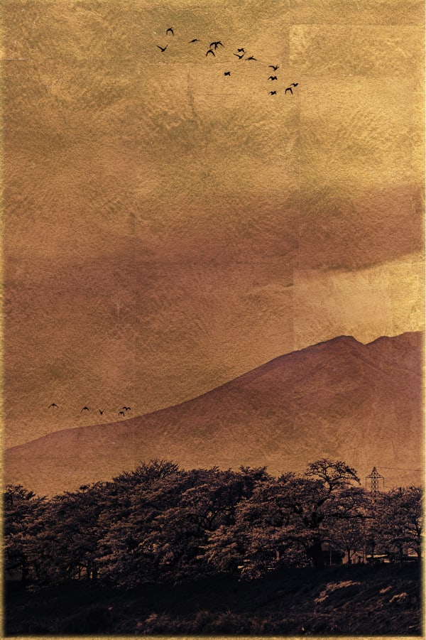 Albarrán Cabrera, The Mouth of Krishna #933, 2018