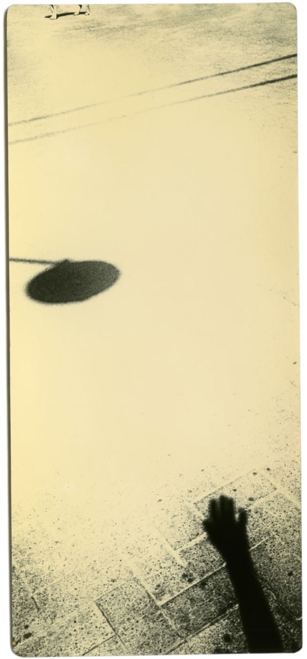 Miho Kajioka, BK0375, 2018