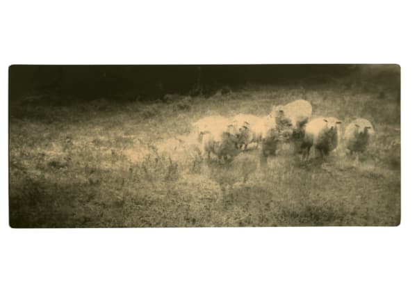 Miho Kajioka, BK0180, 2015