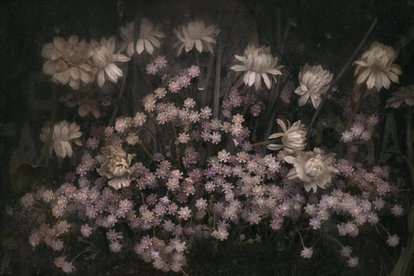 Christopher Thomas, Eternity 15, 2006