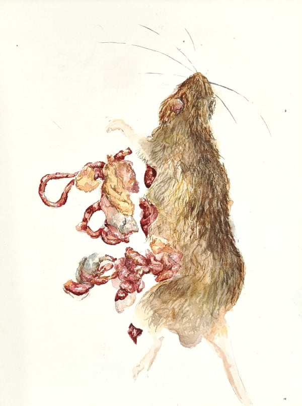 Keenan Tham, Rat Race 10, 2023