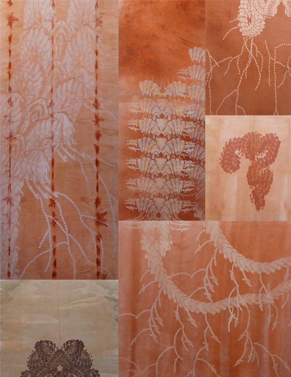 Ines Katamso, Latent Botany 1, 2025