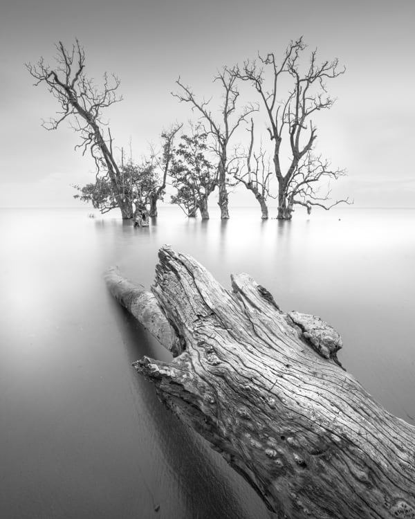 Chaerul Umam, Successor (edition of 10), 2017