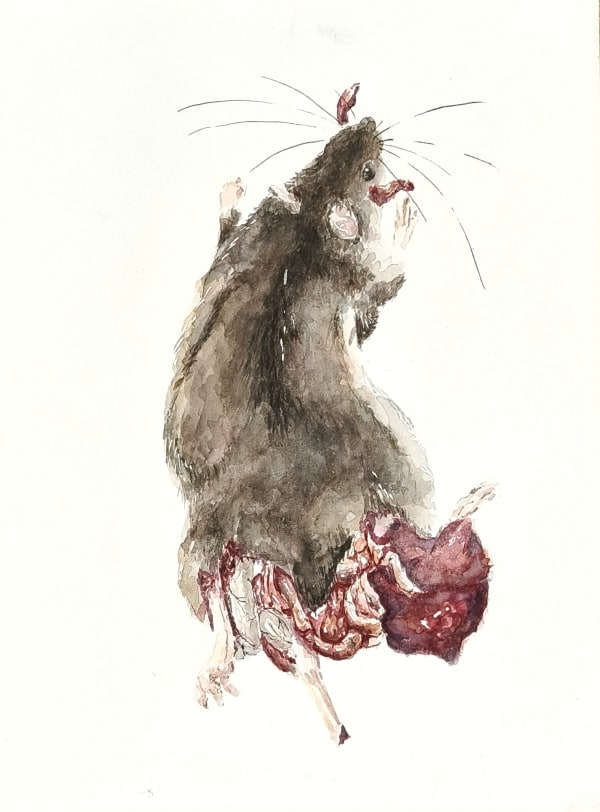 Keenan Tham, Rat Race 8, 2023