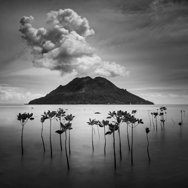 Chaerul Umam, Migrations (edition of 10), 2016