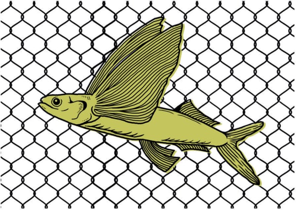 Anita Bonit Purniawati, Fly to My Room, 2022