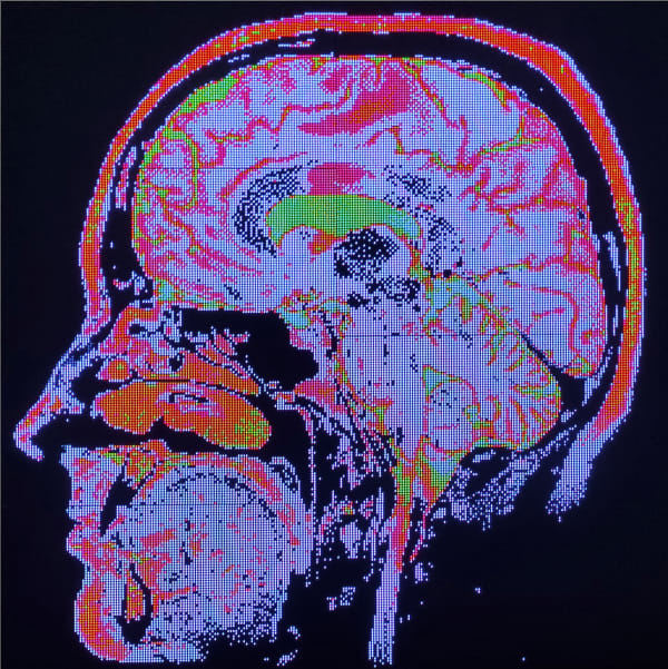 Bandu Darmawan, Pseudocolor Serenade , 2024