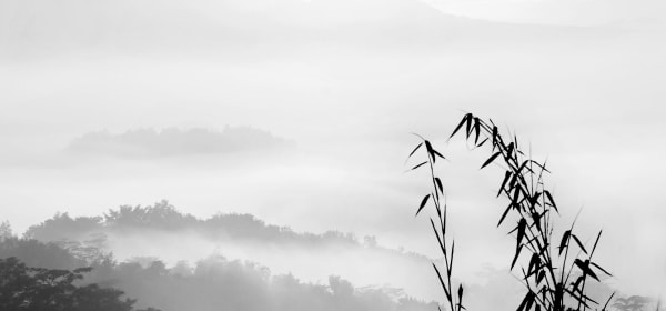 Sjuaibun Iljas, BULUH, 2017