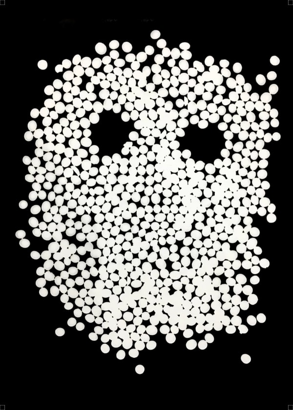 Anang Saptoto, Ecological Faces Series: Soybean Seeds in Photogram, 2018
