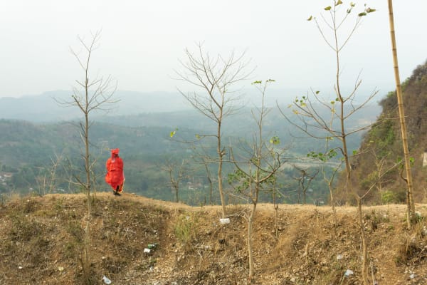 Agung Eko Sutrisno, A Tiger Who Stares at The Sunset IV, 2019