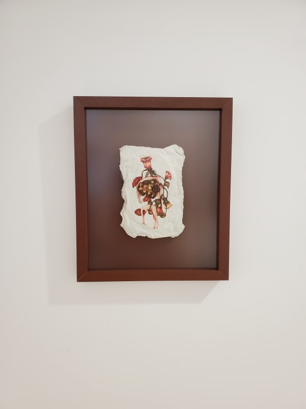 Yosefa Aulia, Imbang