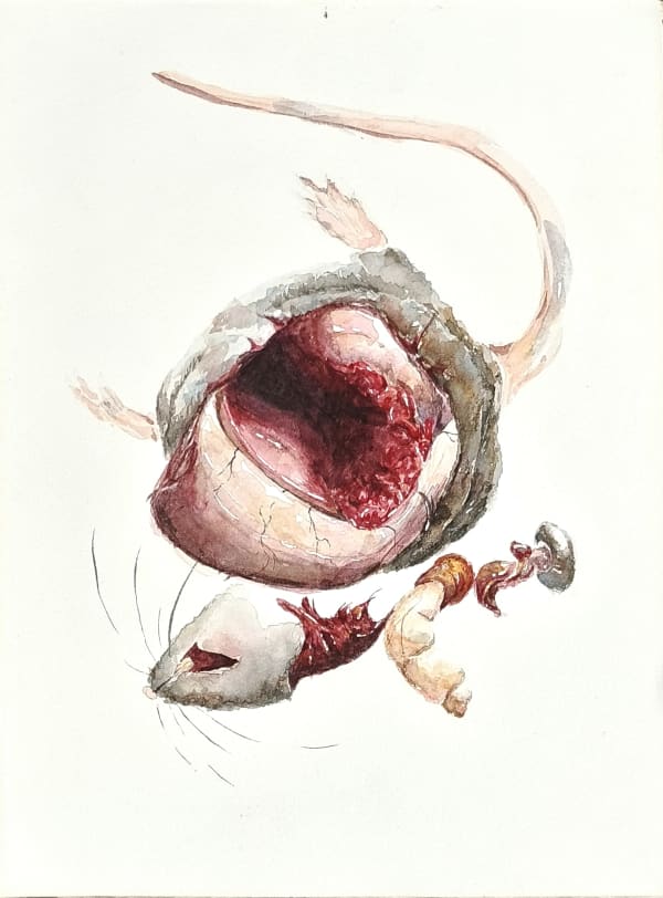 Keenan Tham, Rat Race 6, 2023