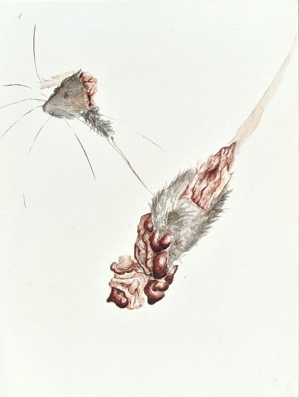 Keenan Tham, Rat Race 4, 2023