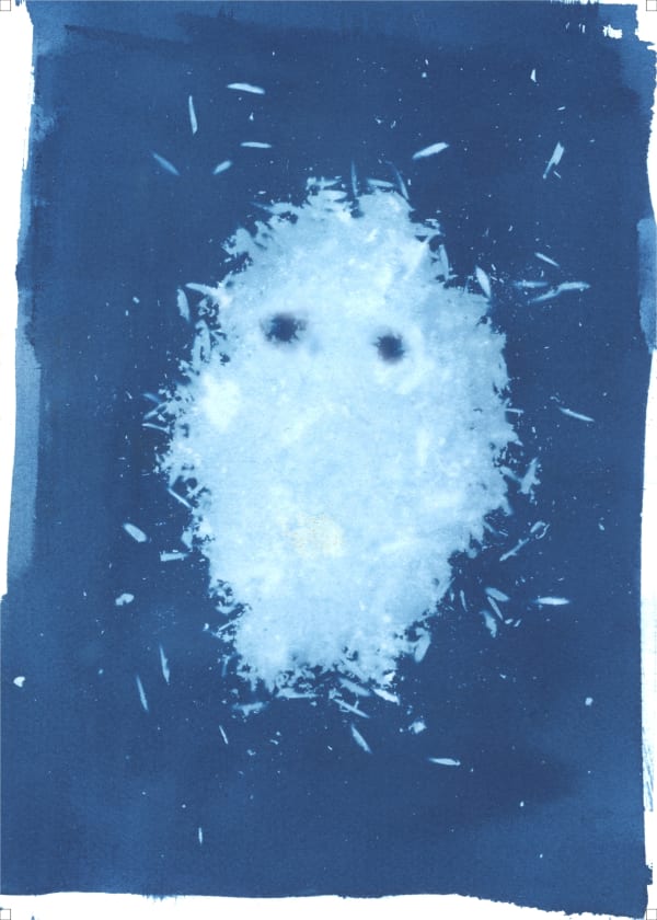 Anang Saptoto, Ecological Faces Series: Goat Manure in Cyanotype, 2023
