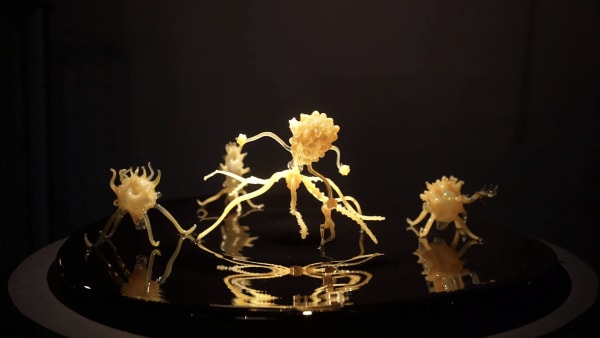 Goldie Poblador, The Rise of Medusa (Performance), 2025