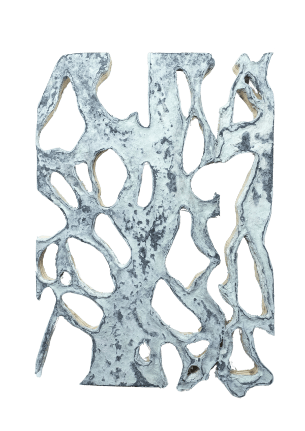 Widi Pangestu, Fractal Disposition, 2025