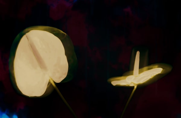 Nico Dharmajungen, Yin Yang , 1991