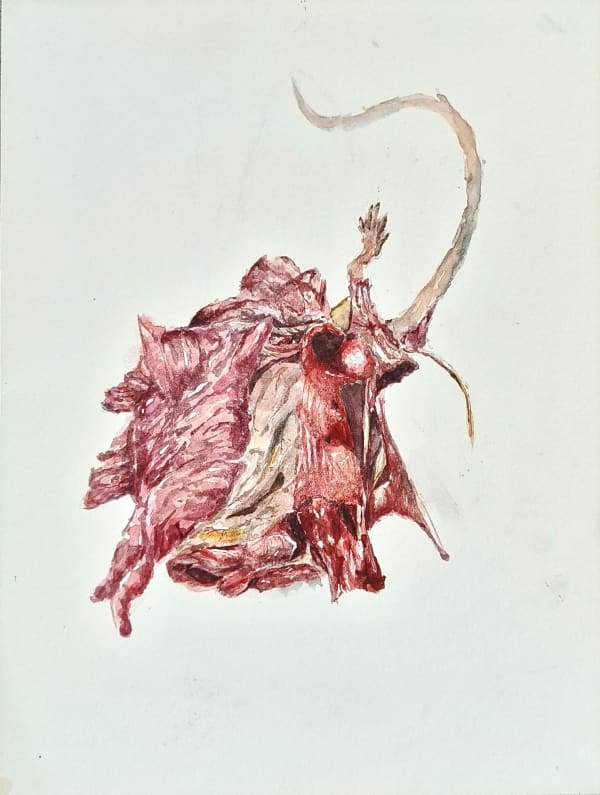 Keenan Tham, Rat Race 1, 2023