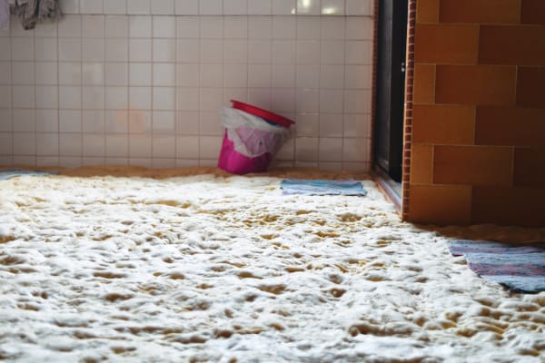 Subashri Sankarasubramanian, Qu'ils mangent de la brioche III, 2020