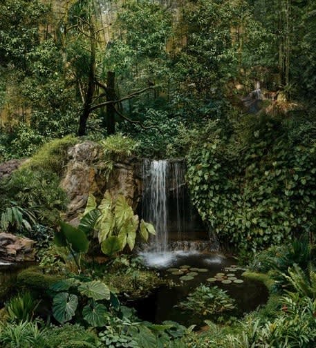 Donna Ong, My Paradise Lost, 2020