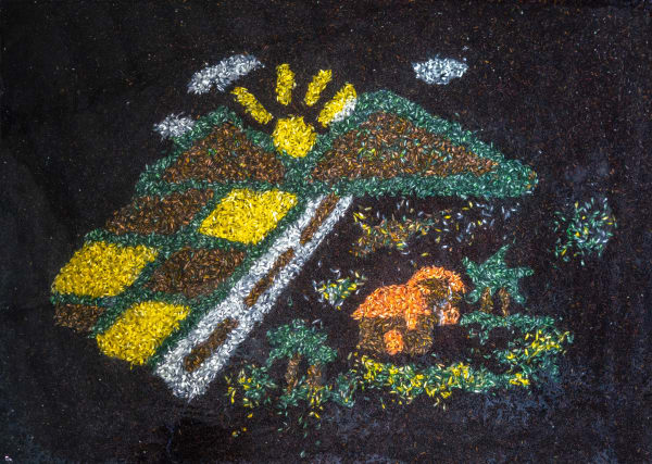 Elia Nuvista, Rice, 2022