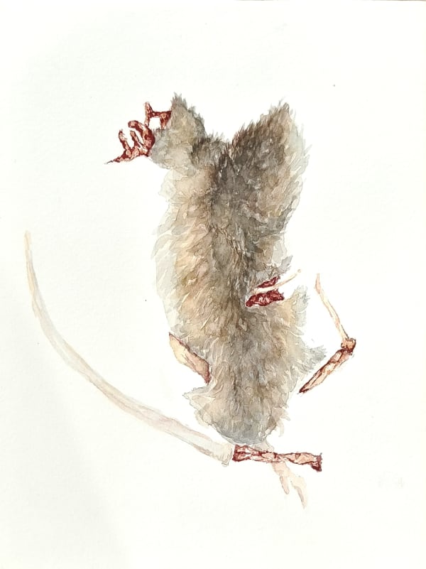 Keenan Tham, Rat Race 3, 2023