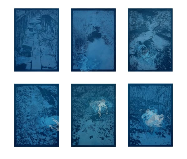 Nathan Tan, Irreversible Invasion (Blue Imprints), 2022