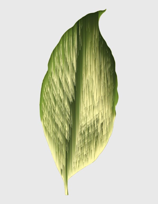 Andrea Wolf Calathea Elliptica Vittata, var. 032, 2020 Botanical illustration digitally manipulated with pixel-sorting algorithm, Fine Art print on Hahnemüle German Etching 310 gr paper 28 x 21 cm