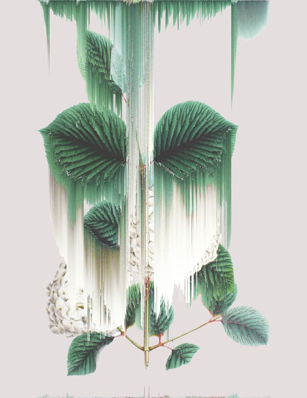 Andrea Wolf Viburnum Plicatum, var. 022, 2020 Botanical illustration digitally manipulated with pixel-sorting algorithm, Fine Art print on Hahnemüle German Etching 310 gr paper 32 x 24 cm