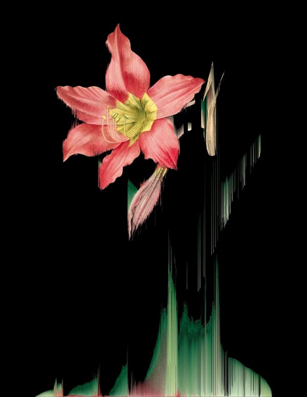 Andrea Wolf L753220, 2025 Lenticular fine art print of a digitally manipulated image created through a pixel-sorting algorithm. 110 x 85 cm