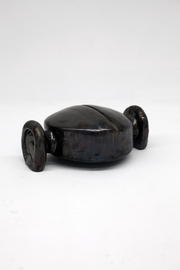 Vicente Prieto Gaggero, Metamorfosis V, 2023