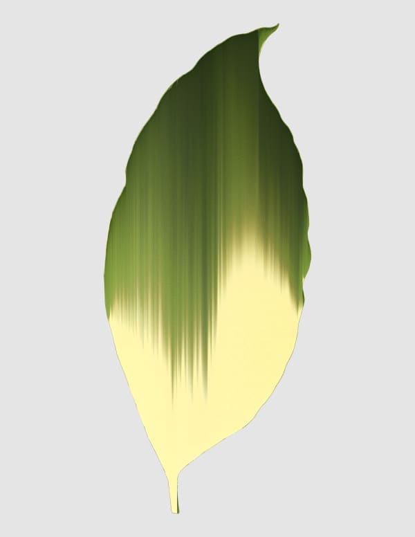 Andrea Wolf Calathea Elliptica Vittata, var. 017, 2020 Botanical illustration digitally manipulated with pixel-sorting algorithm, Fine Art print on Hahnemüle German Etching 310 gr paper 28 x 21 cm