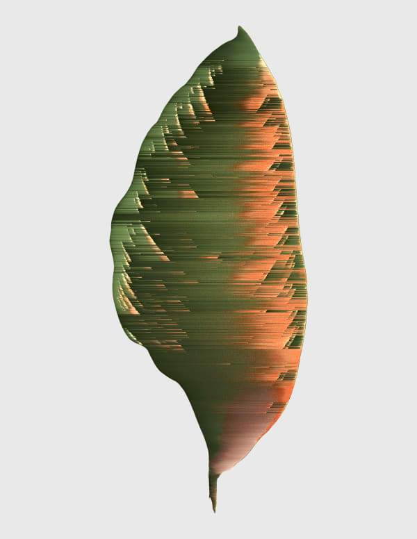 Andrea Wolf Calathea Regalis, var. 020, 2020 Botanical illustration digitally manipulated with pixel-sorting algorithm, Fine Art print on Hahnemüle German Etching 310 gr paper 28 x 21 cm