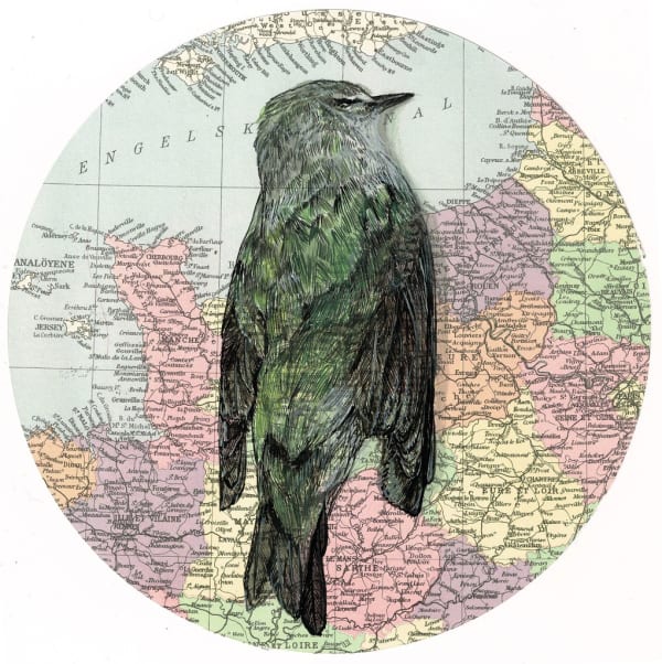 Axel Ríos, England Channel, 2017