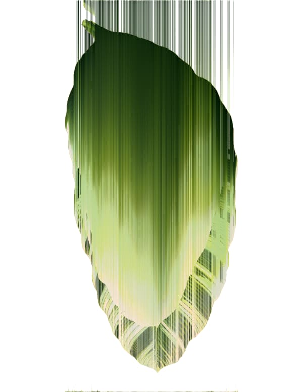Andrea Wolf Musa Acuminata Tropicana, var. 013, 2020 Botanical illustration digitally manipulated with pixel-sorting algorithm, Fine Art print on Hahnemüle German Etching 310 gr paper 28 x 21 cm