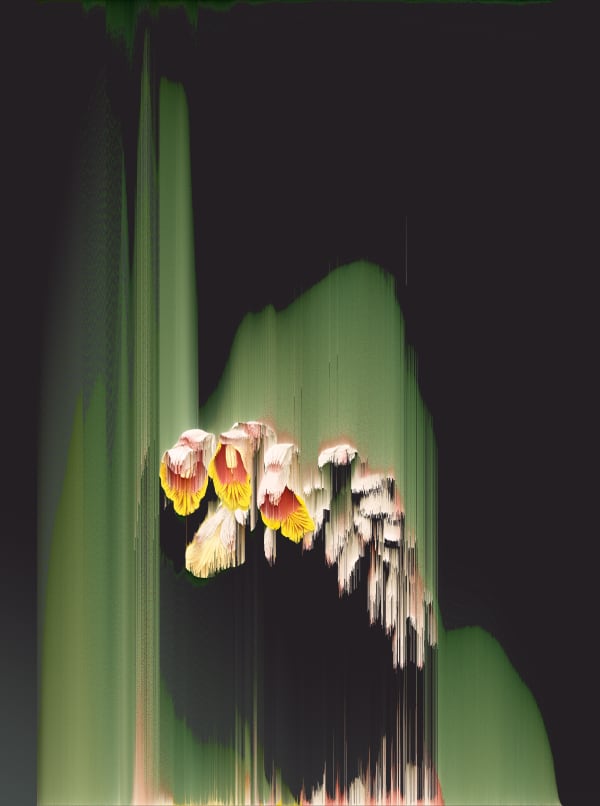 Andrea Wolf L78517, 2022 Lenticular print of botanical illustration digitally manipulated with pixel-sorting algorithm 50 x 37 cm Framed