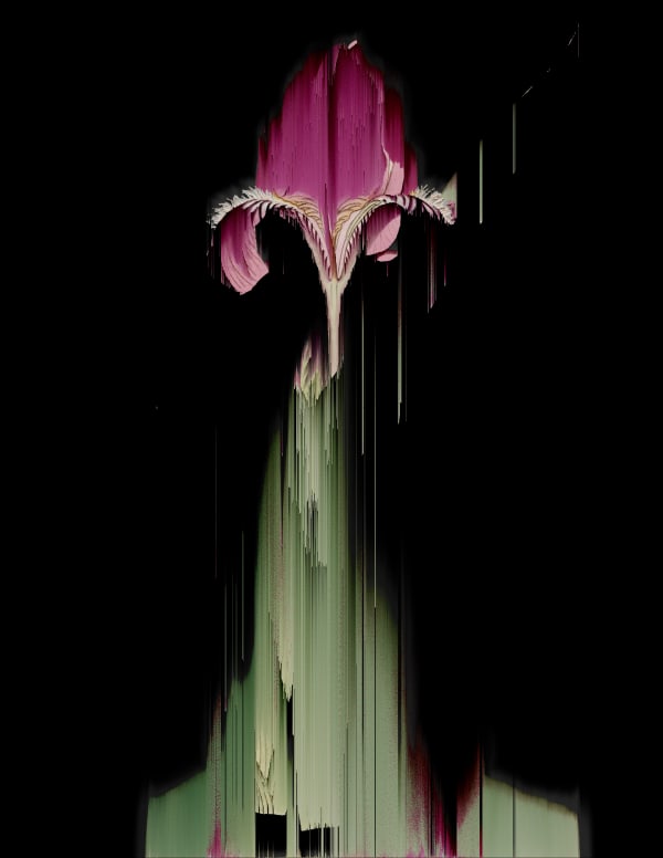 Andrea Wolf, L102749, 2024