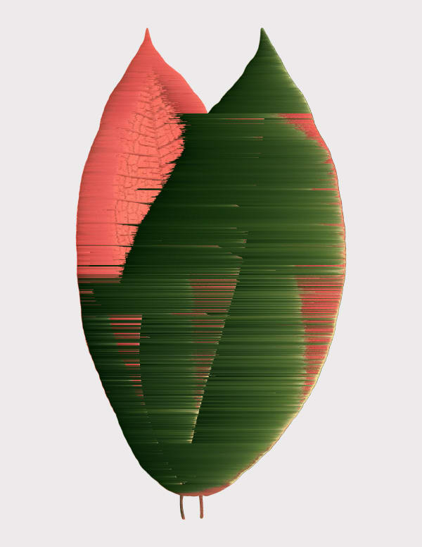 Andrea Wolf Miconia Calvescens, var. 076, 2020 Botanical illustration digitally manipulated with pixel-sorting algorithm, Fine Art print on Hahnemüle German Etching 310 gr paper 28 x 21 cm