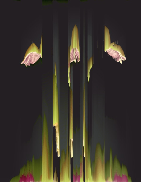 Andrea Wolf, L89921, 2022