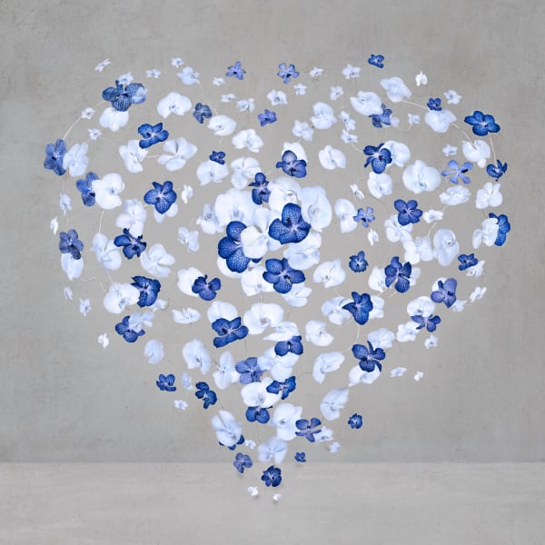 Isabelle van Zeijl, Sailor's Heart, 2025