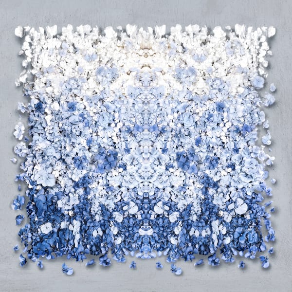 Isabelle van Zeijl Blue Sky, 2023 Fine Art Print mounted on dibond, perspex face in tray frame Small 25 x 25 inch | 63, 5 x 63,5 cm Edition of 4 plus 2 artist's proofs $ 4,500 Regular 44,5 x 44,5 inch | 113 x 113 cm Edition 6 + 2 artist's proofs $ 11,000 Large 59 x 59 inch | 150 x 150 cm Edition of 6