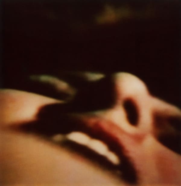 Raed Yassin, How to Use this Camera, 2015