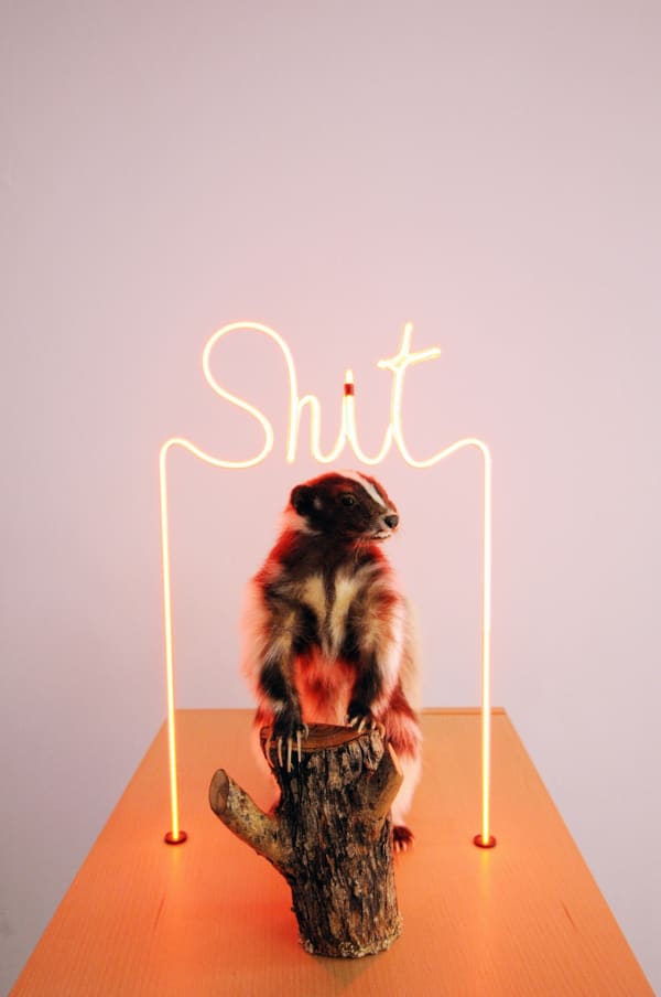 Raed Yassin, The Stinky Singer, 2015