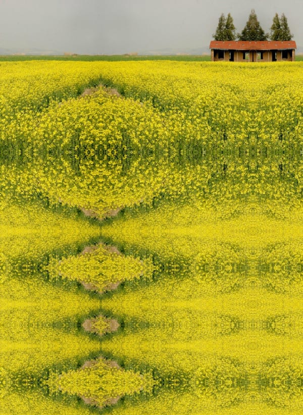 Ramin Haerizadeh, Wonders of Nature, 2006-2007