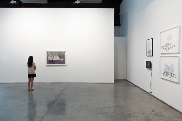 Chromophobia, 2013